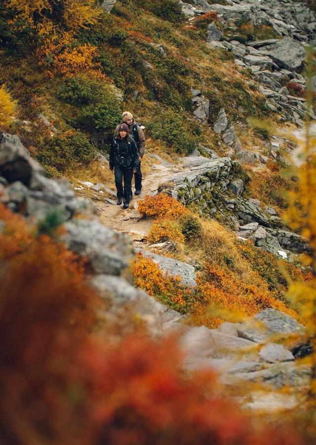 Buty trekkingowe